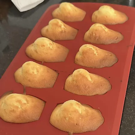 La Bonne Frayssinet